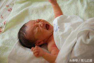 宝宝刚出生，婆婆就喂他黄连水，医生坚决不让！