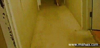 粤语金句成语,形容广东话的成语