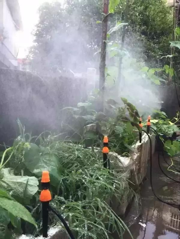 低成本自己改造屋顶花园,自己动手建房子花园