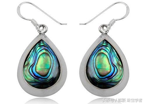 鲍鱼除了吃还代表什么,鲍鱼除了是食物还是什么东西