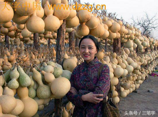 当代著名一百位书法家,这篇文章有点长