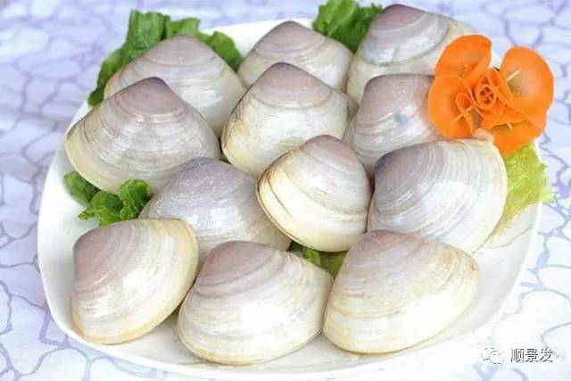 贝类海鲜的品种及图片大全,常见的贝类海鲜图片大全及名称