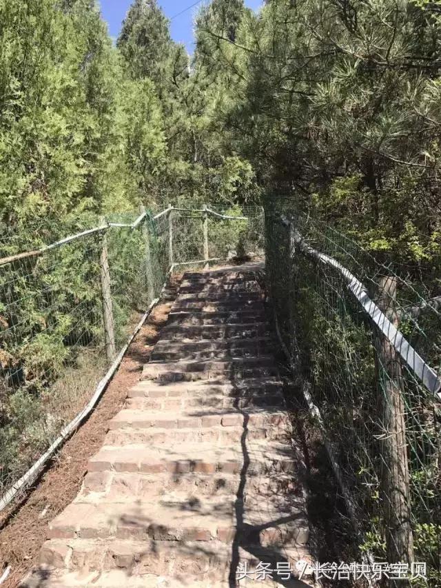 卡酷幼儿园海选现场,卡酷幼儿园欢庆六一
