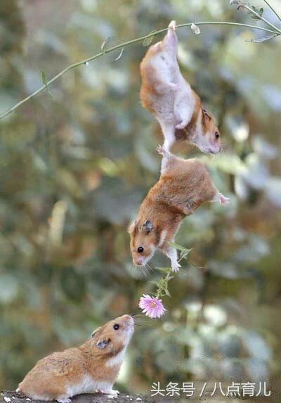 第一次当爸爸听什么歌,第一次知道要当爸爸的反应