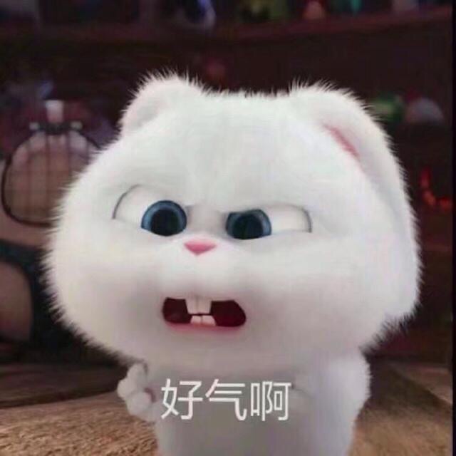 女生沉迷手机怎么办,沉迷手机无法自拔怎么办