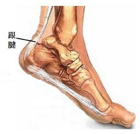 聊聊足痛那些事之二