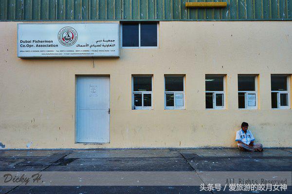 迪拜潮玩如东,迪拜深度游必买纪念品