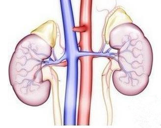 医生与医护人员的故事,医生与医患的故事