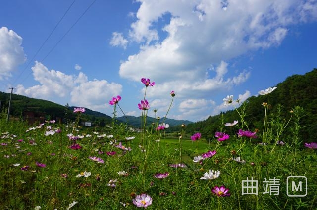 马龙森林氧吧,马龙周边都是山的公园