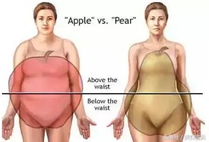 女人腰部有多粗，危害就有多大！