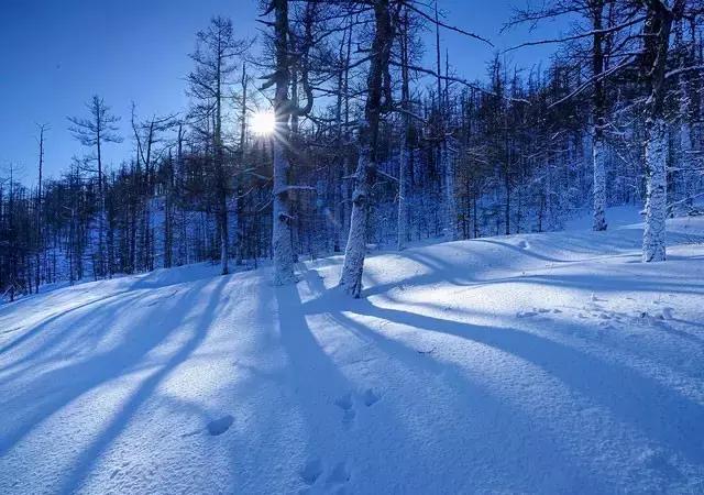 此生余年，和你一起看漫天雪舞