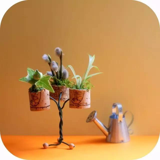 被丢弃的红酒塞遇上了植物,才迎来自己的春天