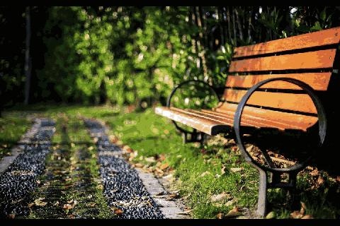 魔都各大高校里竟藏了这么多人少景美的秘密好地方,假期约起来!