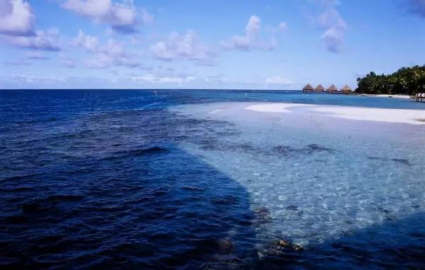 白百何采访说自己就是第三者完整,白百何独家专访