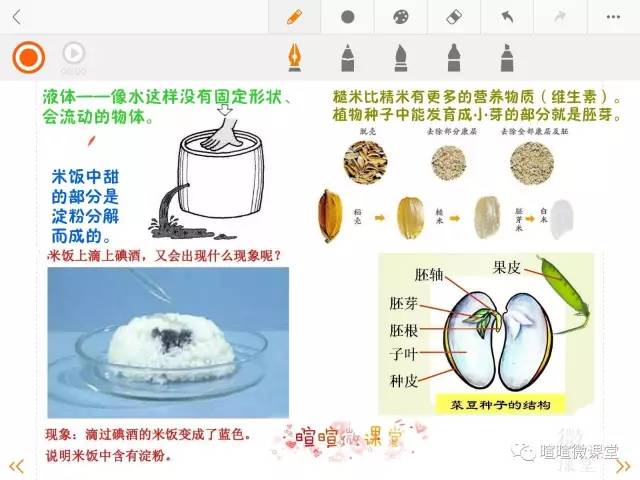 小学三年级下科学动画,科学卡通图案