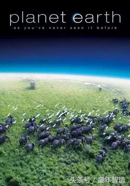 假期一定要带孩子看的5部纪录片,孩子必看的10部自然纪录片