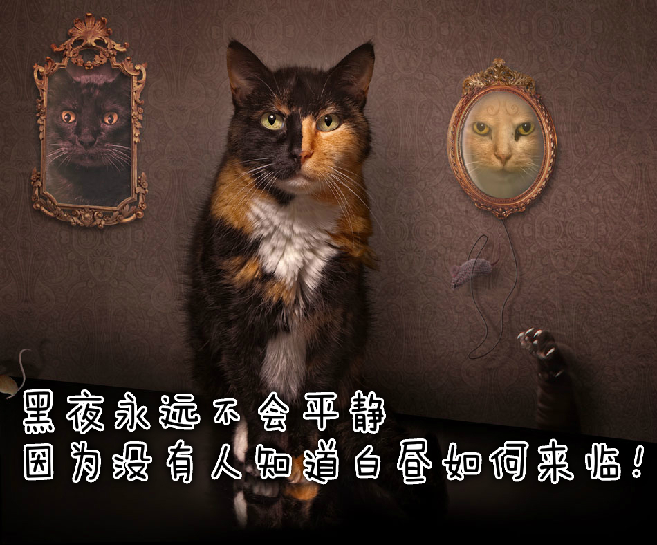 墨子100句国学智慧,墨子六句经典格言传承千年的智慧