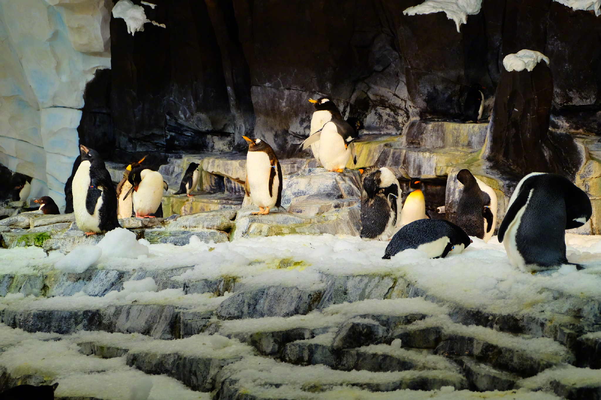 佛罗里达七日游攻略,佛罗里达5天旅游