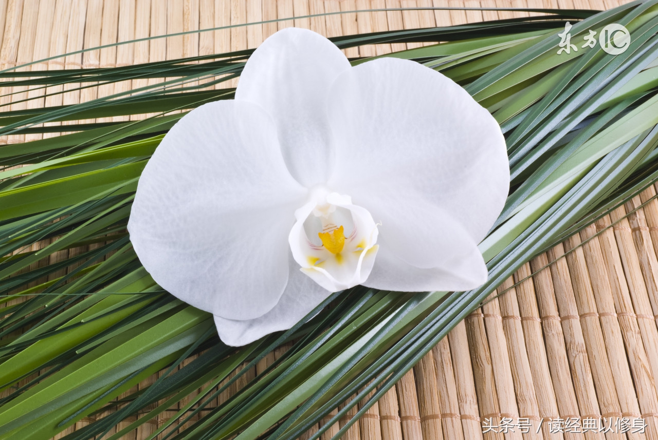 己所不欲勿施于人完整版,己所不欲勿施于人论语