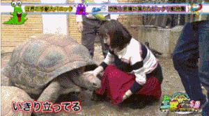 十条笑话：小震不用躲，大震躲不掉，同学们我们来讲下一题