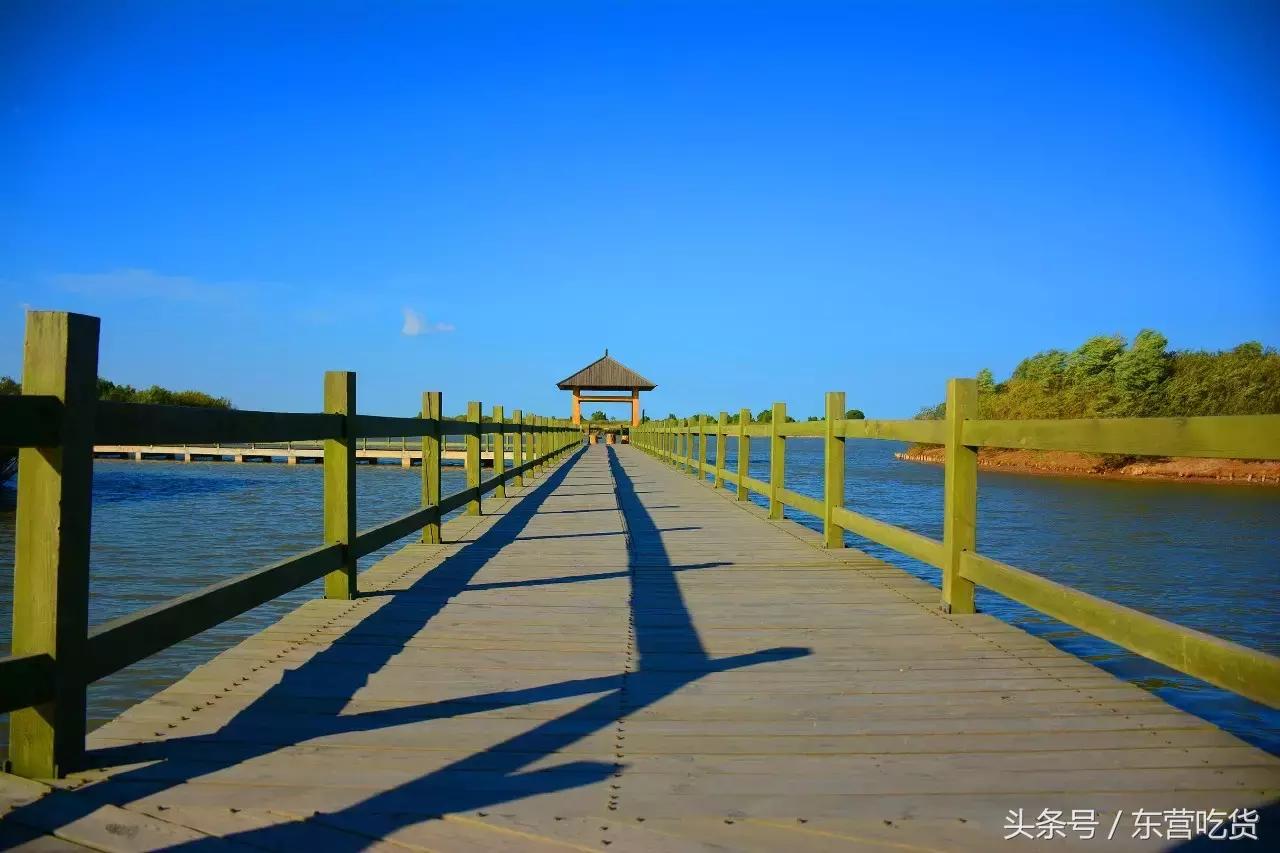 东营五一假期好去处,五一东营去哪里玩比较好