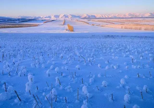 此生余年，和你一起看漫天雪舞