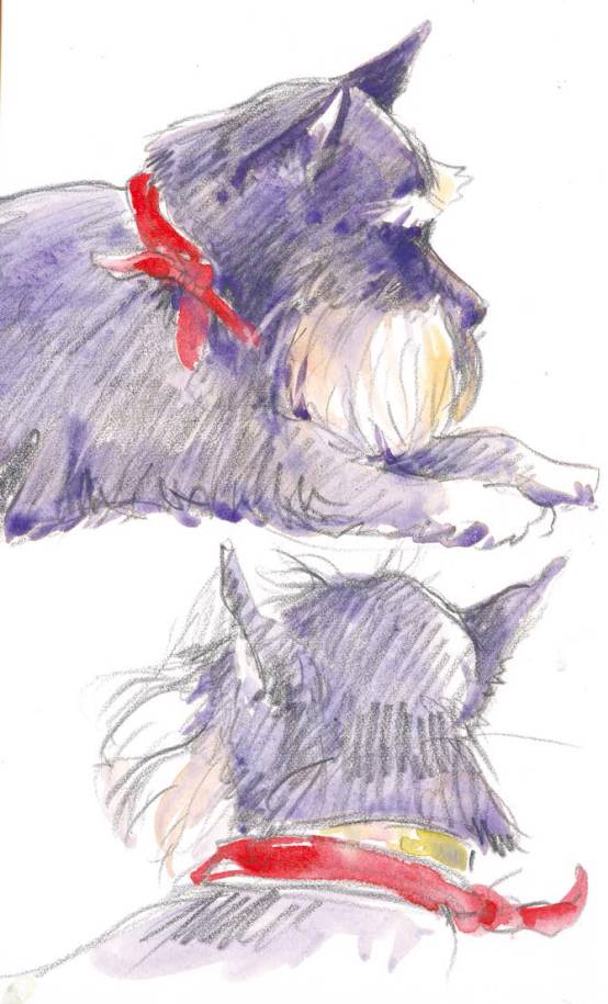 水彩画入门基础知识大全,水彩画水墨画有什么区别基础知识