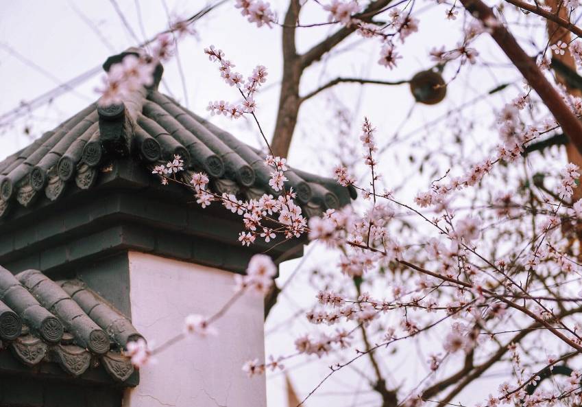 天津景区门票价格大全表,天津景区门票大全最新价格