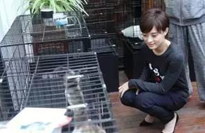 古牧真的很难养吗,古牧被遗弃了