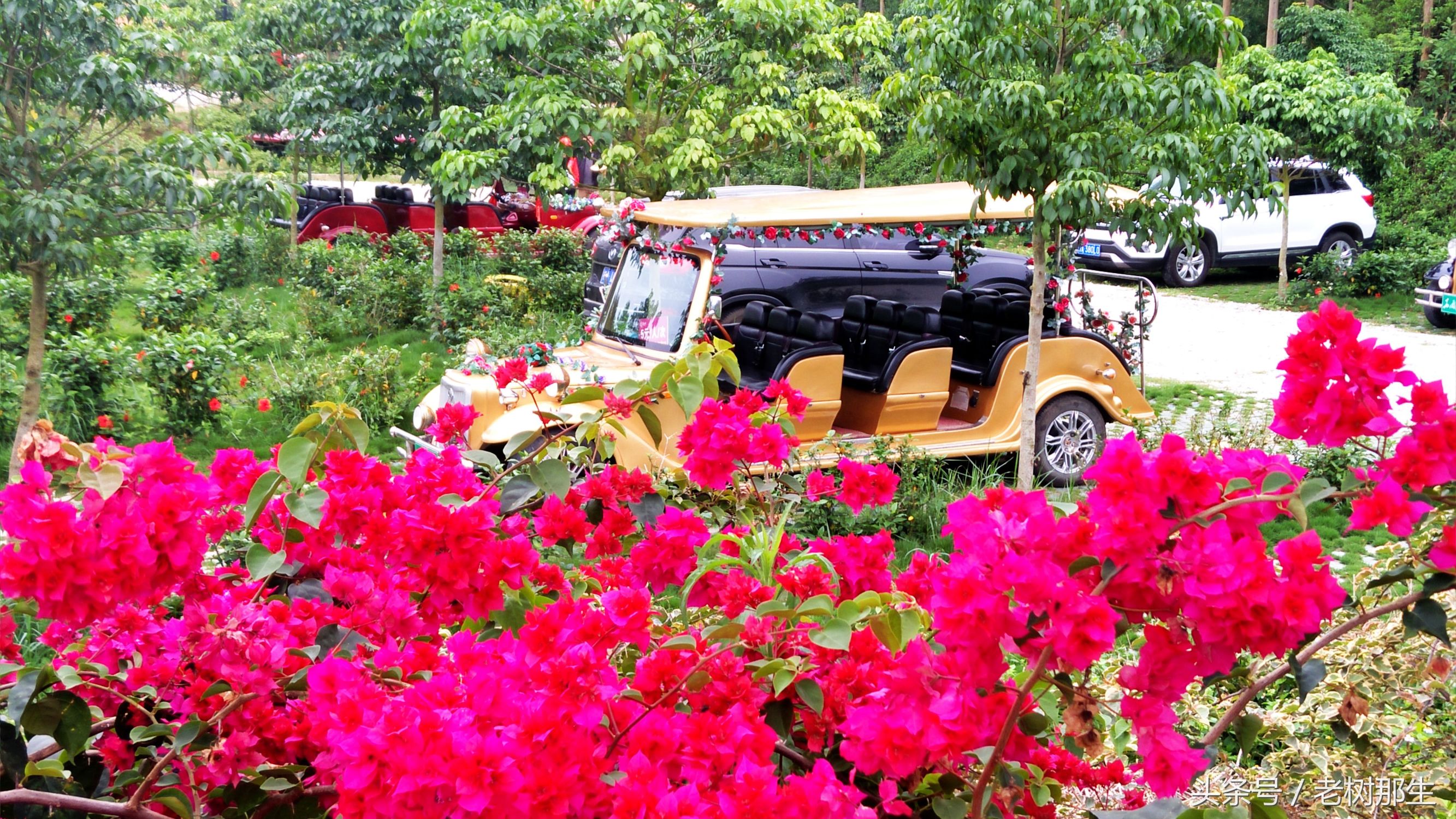 南宁花雨湖景区好玩吗,南宁花雨湖风景区