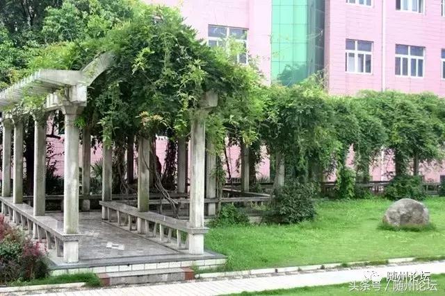 曾都一中真牛，快看！