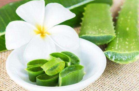 食用芦荟怎么买,购买芦荟的美容护肤产品