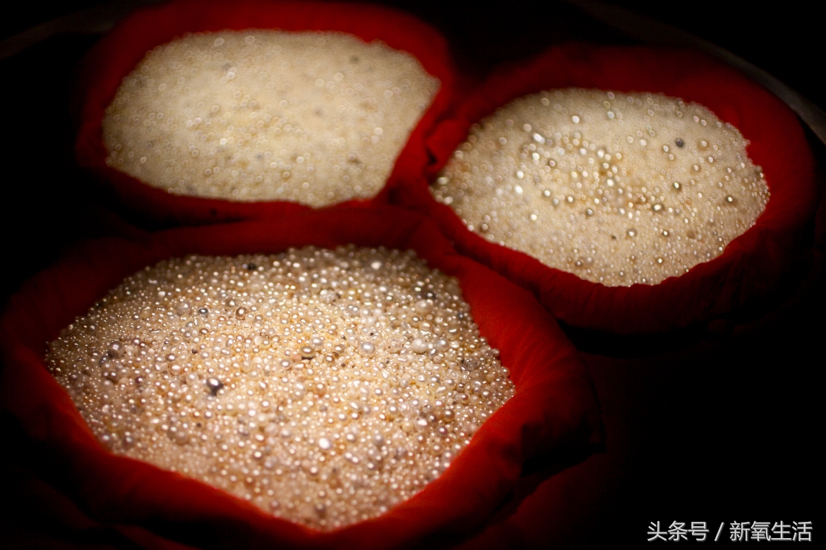 真正的野生珍珠切开什么样,为什么野生的珍珠比较值钱