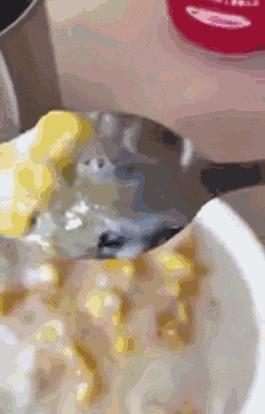 新加坡网传吃到“中国假鸡蛋”？这锅我们中国人可不背