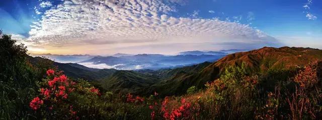 浏阳大围山杜鹃花旅游攻略,湖南浏阳大围山杜鹃花节一日游