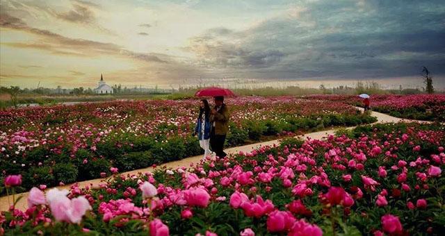 泗洪旅游攻略山东,泗洪旅游攻略自驾游