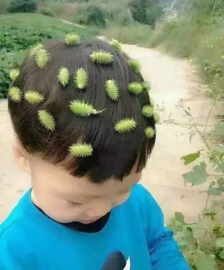 都说IT销售NB，看完我真信了~