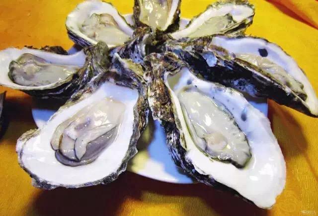 法国生蚝种类有哪些,丹麦生蚝的正确打开方法