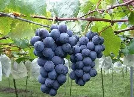 大西安真正的美景,大西安临潼