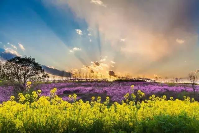 摄友作品点评,4月拍照