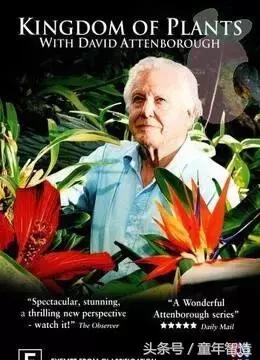 假期一定要带孩子看的5部纪录片,孩子必看的10部自然纪录片