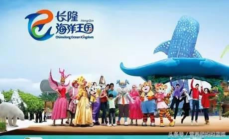 亲子游|井柏然推荐，长隆野生动物世界和海洋王国深度游记！