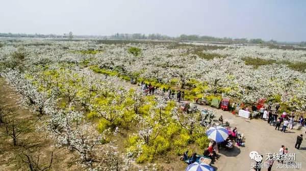 新项目落地徐州,徐州最新拟建项目