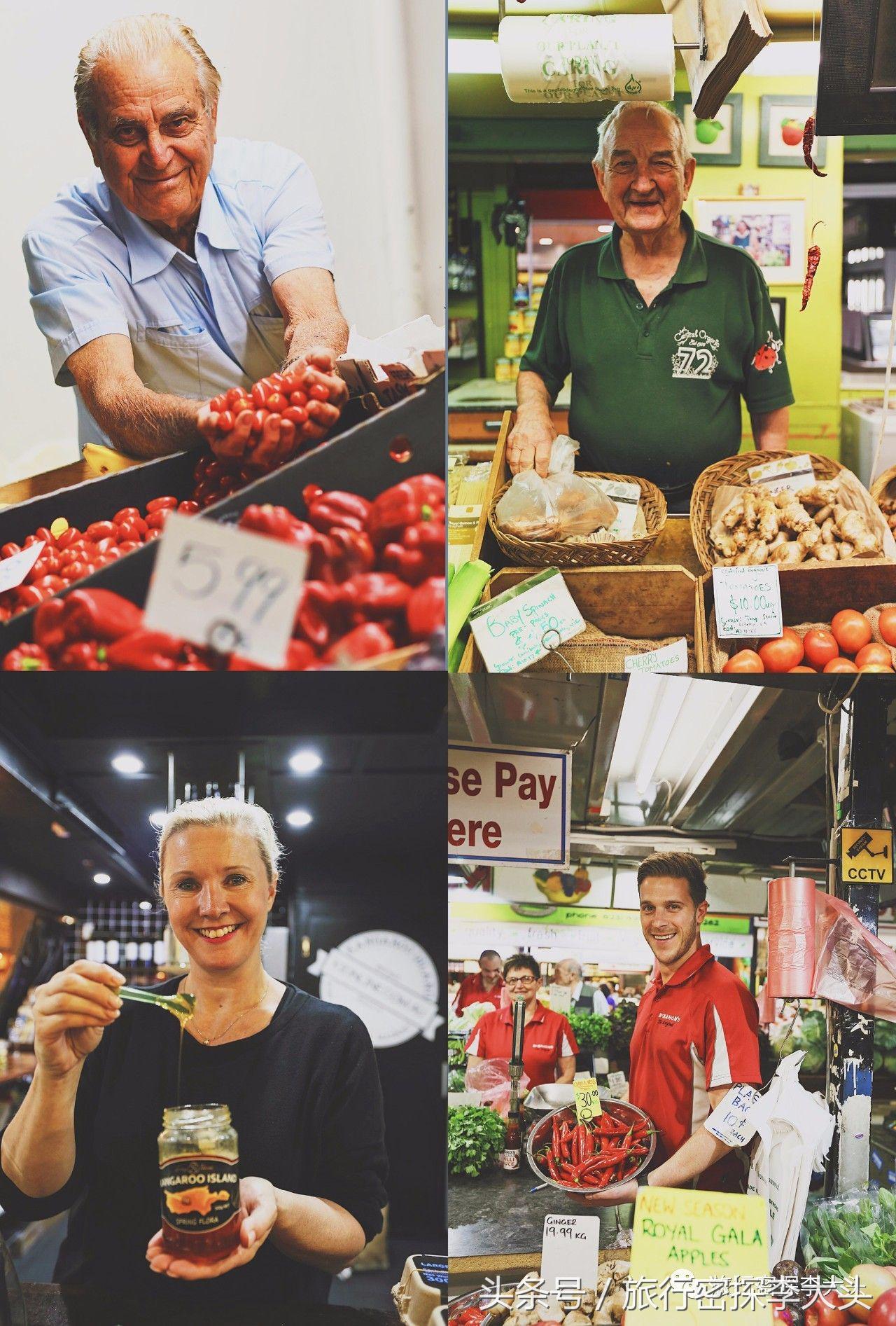 中国哪里可以抱考拉,全球哪里可以抱考拉