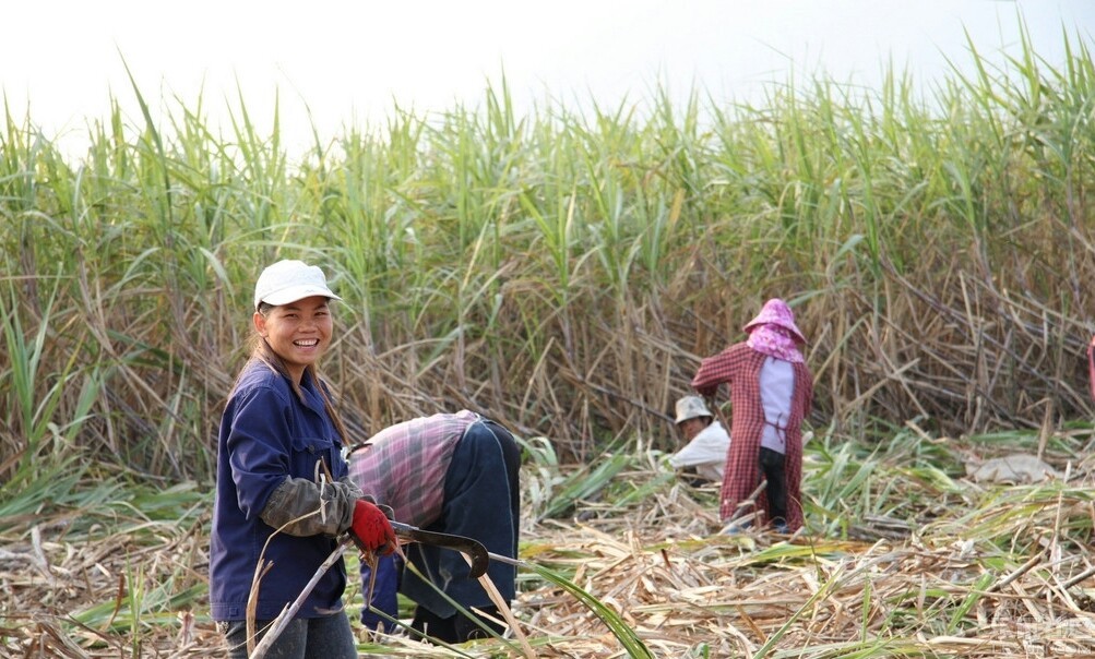 广西女孩选择嫁江浙沪不,广西女孩适合做老婆吗
