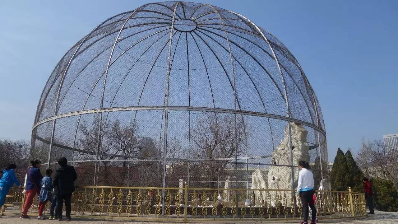 大连好玩的地方滨海路,大连东北路有什么好玩的