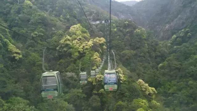 跟着小路旅游不迷路,婺源五一适合去哪里玩