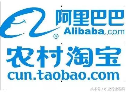 农民转型做电商怎么样,村小二怎么赚钱