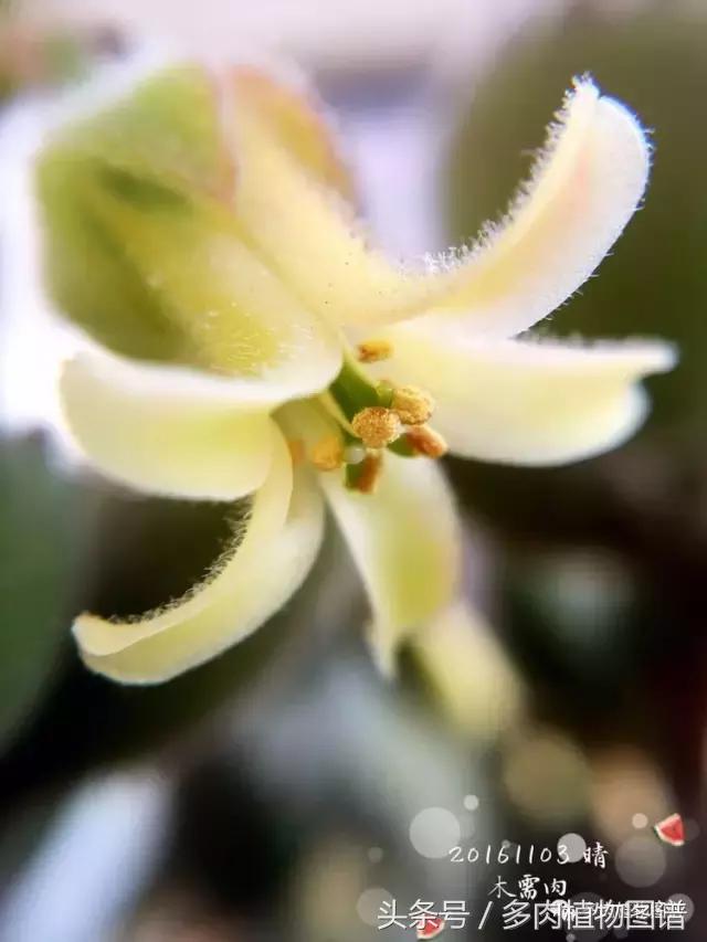 入坑半年的经历,入坑五个月总结