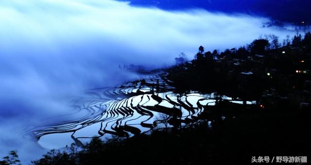 目前国内哪些证含金量高,国家含金量高的证有哪些